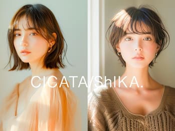 CICATA/ShIKA.の店内