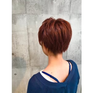 西宮スタイルコレクション