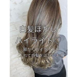 白髪ぼかしハイライト20代30代40代￥15400
