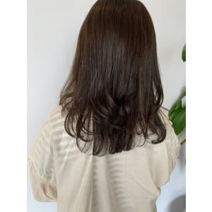 オリーブセミディ