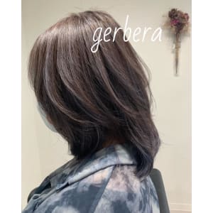 gerbera×ミディアム - gerbera【ガーベラ】掲載中