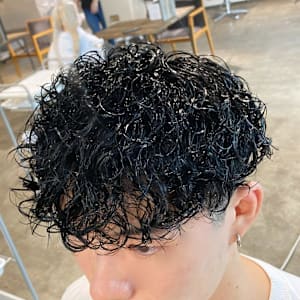 プードルパーマ