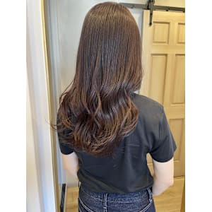 ラベンダーシアーカラー