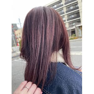 ピンクラベンダー