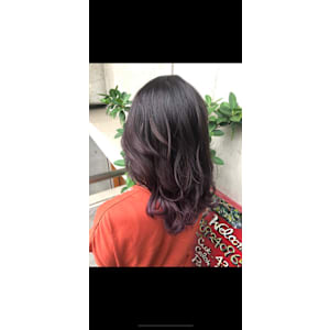 ヴァイオレットカラー