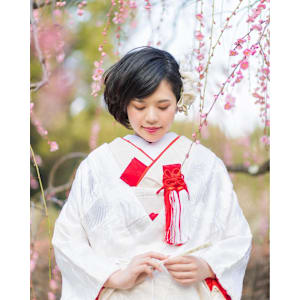 美粧花紋 bisoukamon×ミディアム