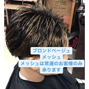 メッシュカラー