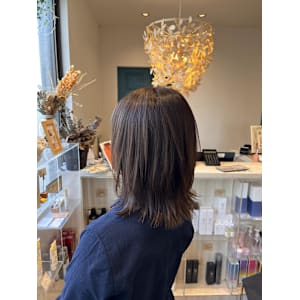 ミディアムレイヤー