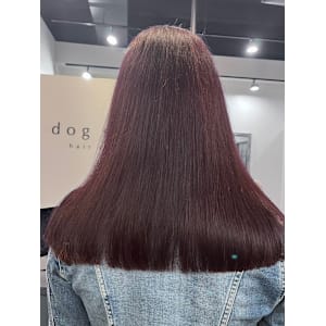 dog star×スタイル