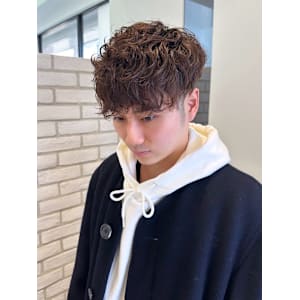 スペインカール