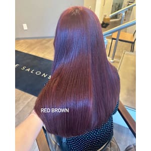 レッドブラウン/ブリーチなしダブルカラー