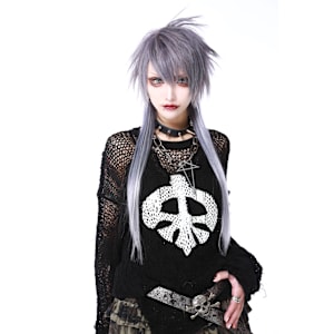 Tritt fur Tritt×スタイル