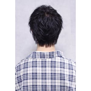 ラフシースルーウルフ