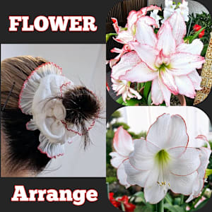 ROCO Market extensions 亀戸店