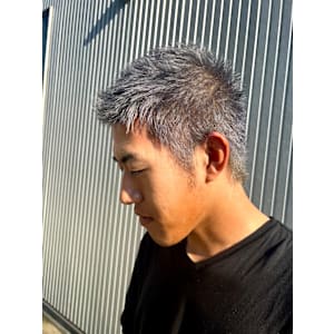 シルバーアッシュ