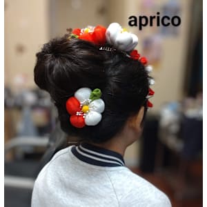 ヘアセット - 美容室アプリコット【ビヨウシツアプリコット】掲載中