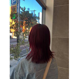 チェリーレッドブラウン