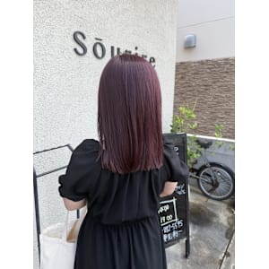 ピンクラベンダー