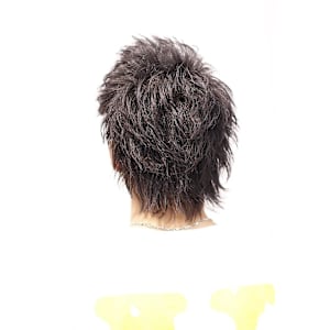 バジリスクジェットウルフ