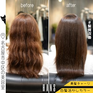 白髪を自然に活かすカラーと髪質改善ケア - HANS 名古屋 伏見【ハンス　ナゴヤ　フシミ】掲載中