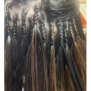 Local line×スタイル