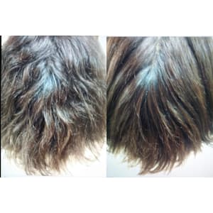 Beauty Science BOOZ×スタイル - Beauty Science BOOZ【ビューティーサイエンスブーズ】掲載中