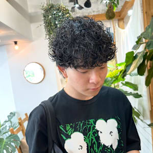 くせ毛にプードルパーマ　くせ毛カット/メンズパーマ - Hair Salon Mimosa Works【ヘアサロンミモザワークス】掲載中