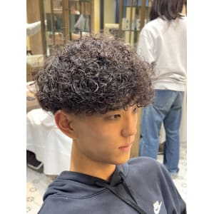 スペインカール - GROOMER/S TOKYO本店【グルーマーズトウキョウ】【グルーマーズトウキョウ ホンテン】掲載中