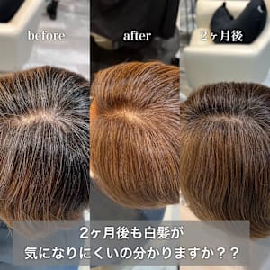 白髪ぼかし細めハイライト30代40代50代グレージュ - STELLA by KENJE【ステラバイケンジ】掲載中
