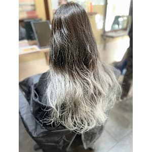 ダブルカラー - Papillon Rose【パピヨンロゼ】掲載中