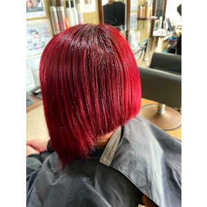 レッドボブ - Papillon Rose【パピヨンロゼ】掲載中