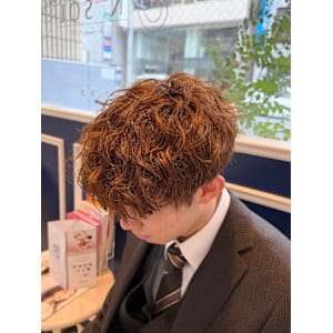 ツイストスパイラル/マロンベージュ - N'SOL of RICHAIR【アンソル オブ リシェール】掲載中