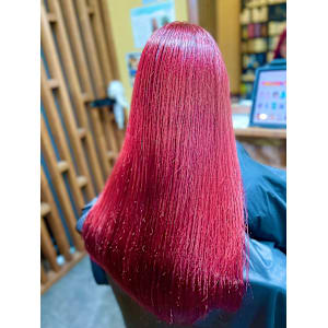 カーディナルレッド - Papillon Rose【パピヨンロゼ】掲載中