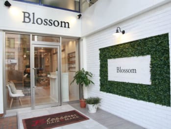 Blossom ANNEX 成増店【ブロッサムアネックスナリマステン】(東京都板橋区／美容室)
