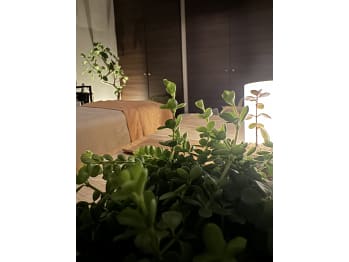 頭とリンパの隠れ家サロン guppy(愛知県安城市)