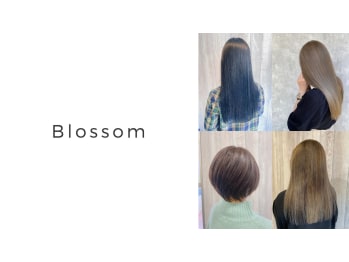 Blossom 中台店【ブロッサム ナカダイテン】(東京都板橋区／美容室)