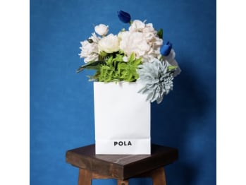 POLA南大通店(北海道札幌市中央区)