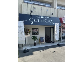 cut de CAT【カットデキャット】(広島県広島市安佐北区／美容室)