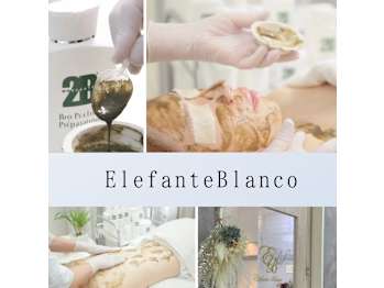 ハーブピーリング 美肌専門店 Elefante Blanco(宮城県仙台市青葉区)