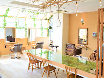 hair&color Plaatje  青葉台【ヘアーアンドカラー　プラーチェ　アオバダイ】(神奈川県横浜市青葉区／美容室)