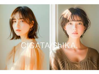 CICATA/ShIKA.【シカタシーカ】(神奈川県鎌倉市／美容室)