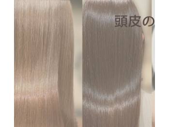 【半個室】Log hair&spa【ハンコシツ ログヘアアンドスパ】(埼玉県所沢市／美容室)