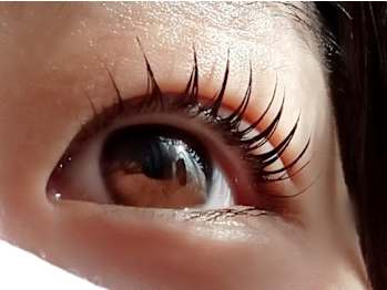 Divine Eyelash New art studio(大阪府大阪市平野区)