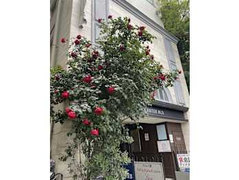 Nail salon Diamond(千葉県千葉市中央区)