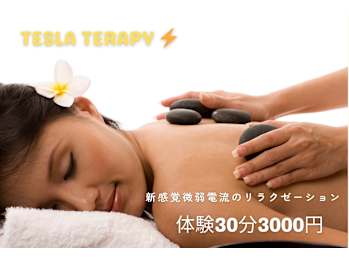 エナジーセラピー専門店 TESLA THERAPY(愛知県名古屋市中区)