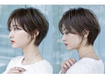 プランツヘアー博多【プランツヘアーハカタ】(福岡県福岡市博多区／美容室)