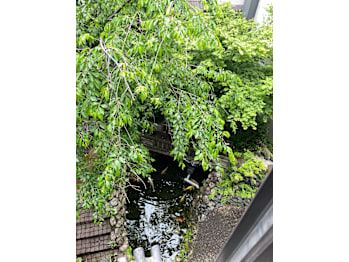 SUN 白金台 本館【サンシロガネダイ ホンカン】(東京都港区／美容室)