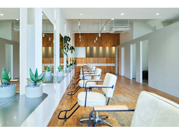 branch hair【ブランチヘアー】(広島県広島市西区／美容室)