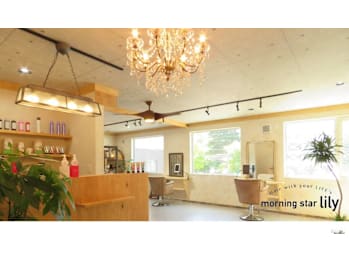 morning star lily(北海道札幌市中央区)