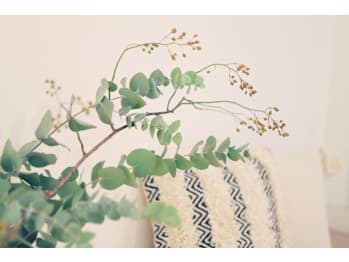 cocha(東京都渋谷区)